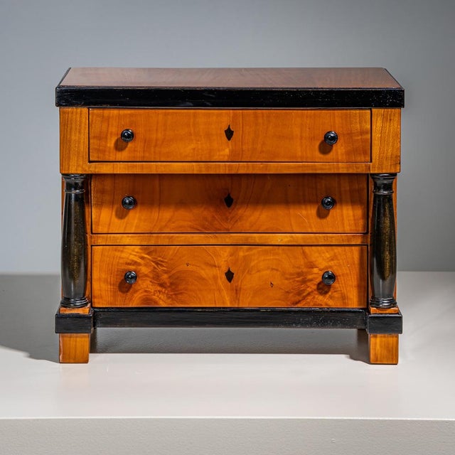 Wood Antique Biedermeier Chest of Drawers, 1820 For Sale - Image 7 of 7