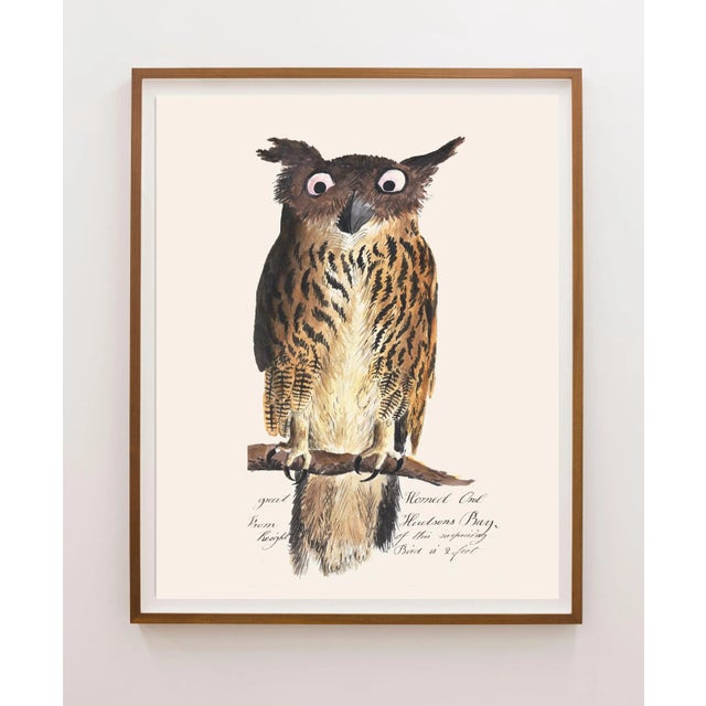 Illustration Reproduction Vintage Owl Print From 1810 Naturalist Collection For Sale - Image 3 of 4