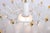 Large Frosted Glass and Brass Chandelier from Kinkeldey, Germany, 1970s For Sale - Image 14 of 18