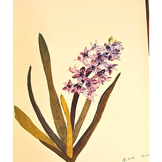 This is a set of 3 French Mid-Century botanical prints that were illustrated by Arlette Davids. Davids was a French...