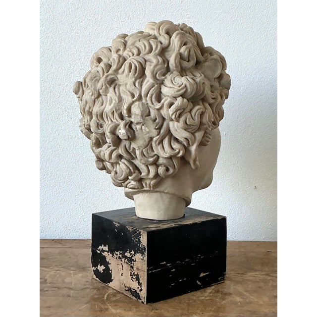 Late 20th Century Vintage Boho Cast Marble Bust of Marcus Aurelius For Sale - Image 5 of 12
