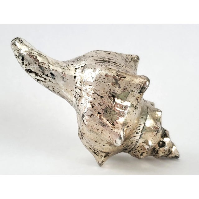 Silver Dipped Real Seashell Shell For Sale In Miami - Image 6 of 8