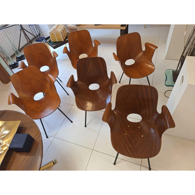 Mid-Century Modern Model Medea 102 Chairs by Vittorio Nobili for Medea, 1950s, Set of 6 For Sale - Image 3 of 6