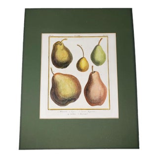 Vintage Hand Painted Botanical Lithograph Print Pears - Breant Sculp - L. B. Del - Matted For Sale
