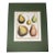 Vintage Hand Painted Botanical Lithograph Print Pears - Breant Sculp - L. B. Del - Matted For Sale