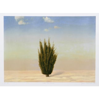 John Beerman, Cedar Tree, Israel, Lithograph For Sale