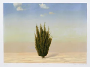 John Beerman, Cedar Tree, Israel, Lithograph