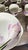 Late 20th Century 1970's Vintage Mikasa Vogue L1052 Fine Porcelain Floral Dinnerware Set - 26 Pieces For Sale - Image 5 of 8