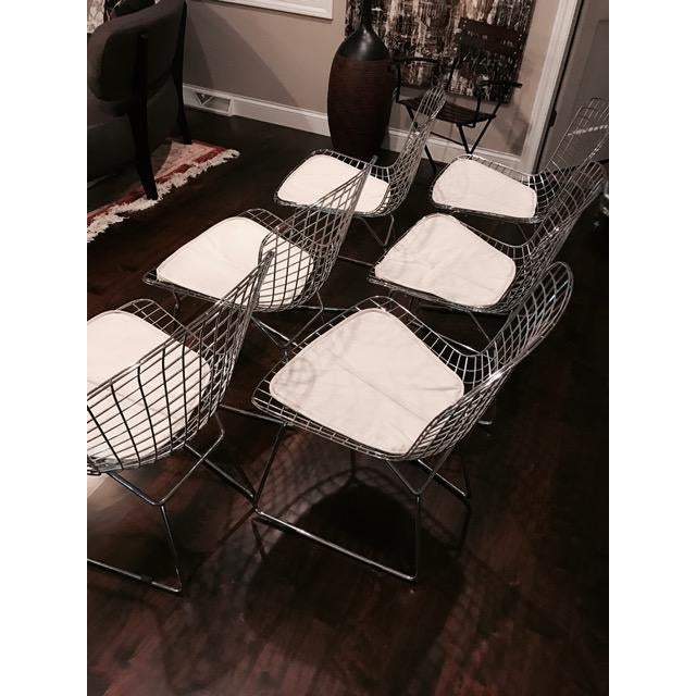 BertoiaStyle Wire Dining Chairs Set of 6 Chairish