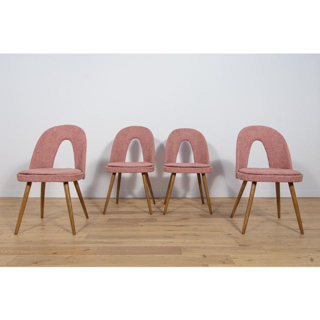 Wood Dining Chairs by Antonín Šuman for Tatra, 1960s, Set of 4 For Sale - Image 7 of 18