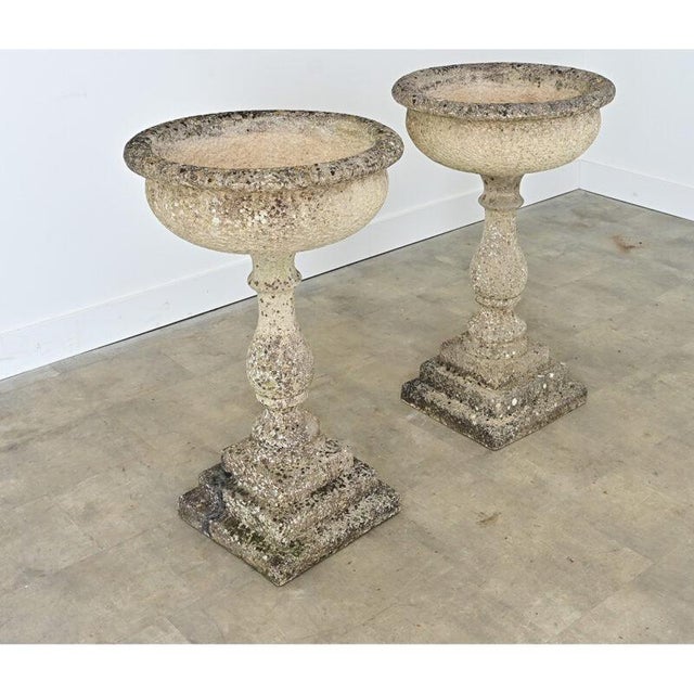 English Pair of 19th Century Cast Stone Planters For Sale - Image 12 of 14