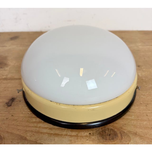 1950s Industrial Bakelite Wall Light with Milk Glass, 1950s For Sale - Image 5 of 12