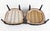 Vintage Ebonized Carved Ram's Head Bergère Chairs, Pair For Sale - Image 15 of 16