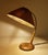 Vintage desk lamp featuring a sisal shade mounted on a brass flex stem, teak futteral and base with star shaped veneer...
