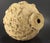 Ceramic Earthenware Medicine Jar Mali Saharan Cultures, Africa For Sale - Image 7 of 13