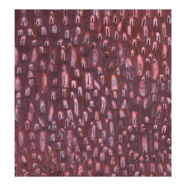 Example of New & Custom Salt Lake City