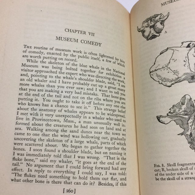 Paper 1944 Birds & Beasts Smithsonian Book For Sale - Image 7 of 12