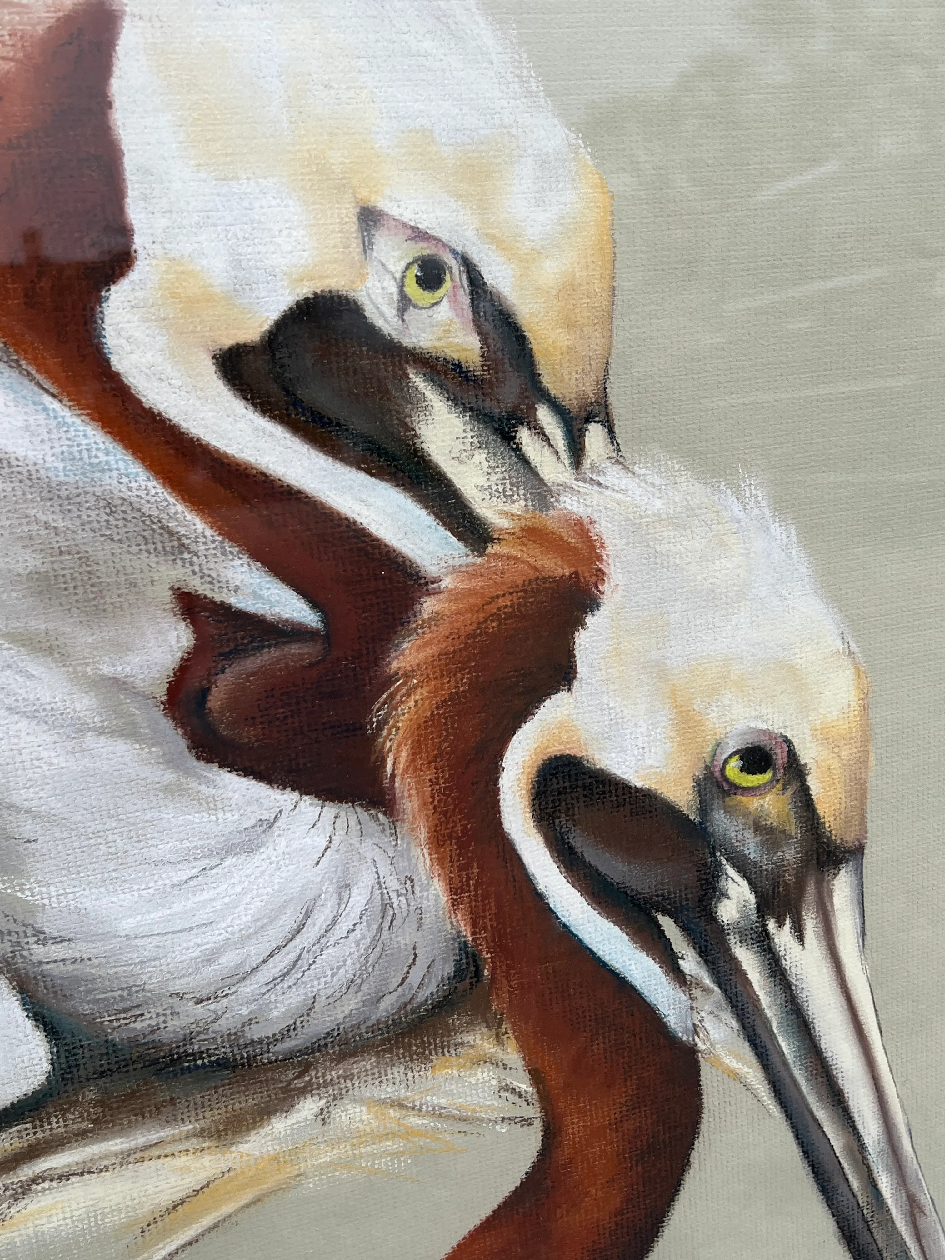 Ashley Wood FAW PELICAN D1.1 原画&サイン入 限定本 Original Framed Pelican Pastel Art | Chairish