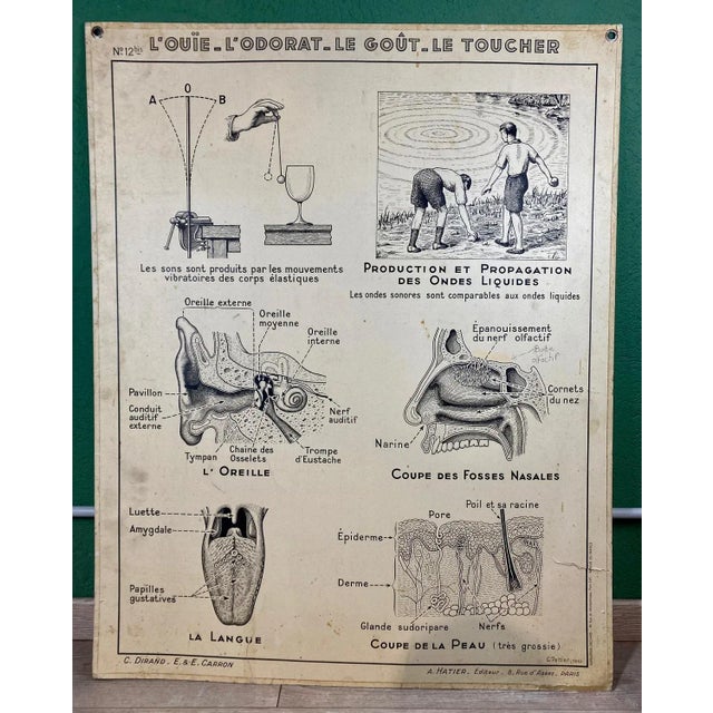 The cardboard that does not affect the aesthetics of the sheet has some breaks This piece has an attribution mark, I am...