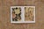 Textile Rug & Kilim’s Oversized Contemporary Aubusson Style Floral Rug in Beige & Pink For Sale - Image 7 of 10
