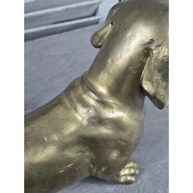 Bronze Dachshund Dog Sculpture with Polished Gold Finish For Sale - Image 11 of 14