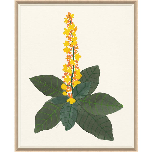 Not Yet Made - Made To Order Desert Flowers by Susan Hable For Sale - Image 5 of 6