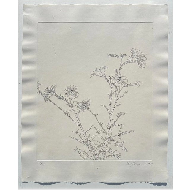 Ed Baynard (American, 1940–2016) Floral, Flowers Etching Framed For Sale In San Diego - Image 6 of 12