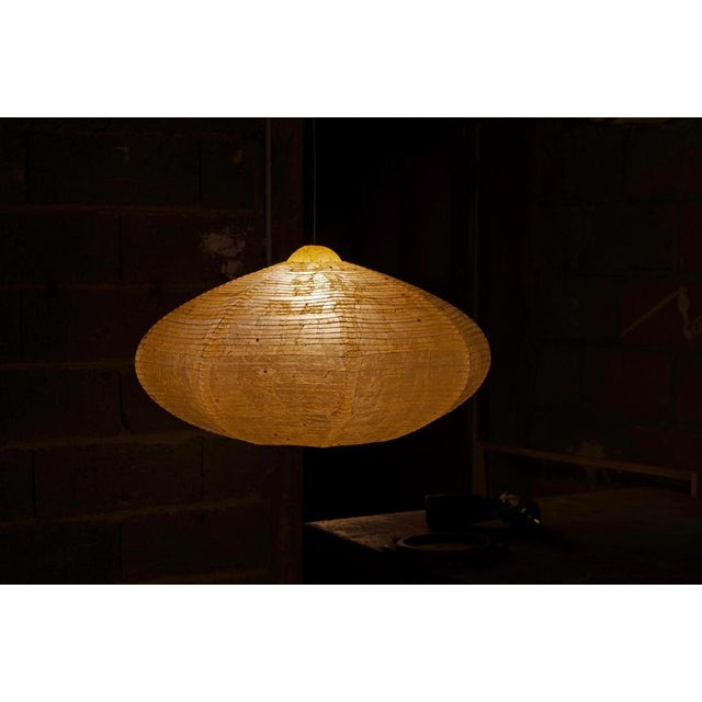 Holm pendant lamp in bio material with natural dyes by thibault philip. One of a kind. Dimensions: w 90 x d 45 x h 45 cm....