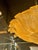 Modern Murano Granola Gold Flush Mount Chandelier For Sale In Dallas - Image 6 of 7