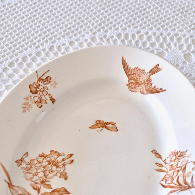 19th Century Longwy Oval Dish Sepia Iron Earth Botanical Bird, 1890s For Sale - Image 3 of 10