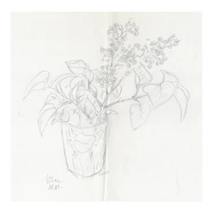 1963 Neil Metizler Lilac Still Life Drawing