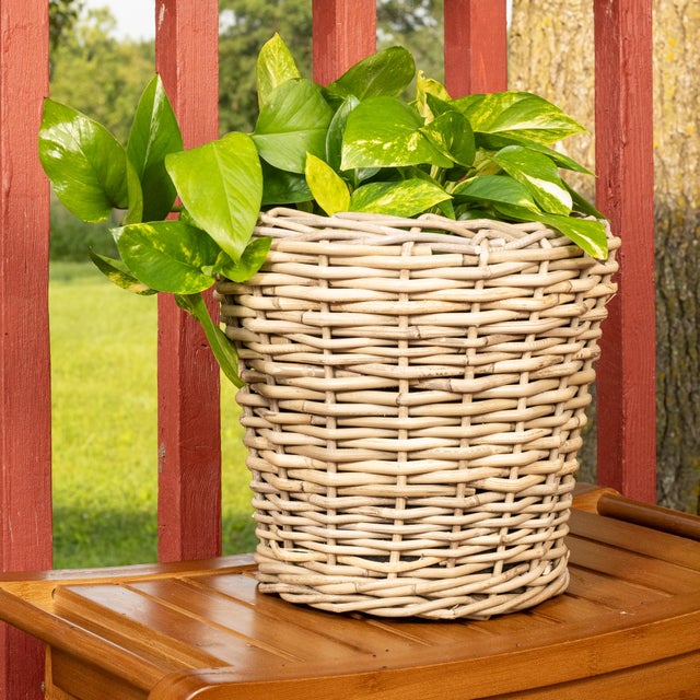 Artifacts Rattan Round Planter with Black Plastic Insert, Natural, 11" For Sale - Image 4 of 9