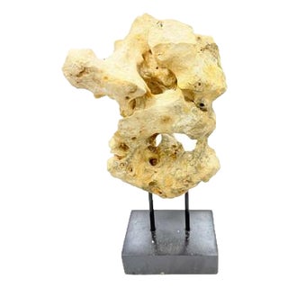 Indonesian Coral Stone On Teak Stand For Sale