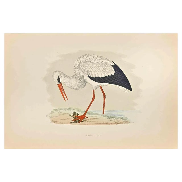 Alexander Francis Lydon, White Stork, Woodcut Print, 1870 For Sale
