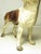 Hubley Manufacturing Company Vintage Cast Iron Hubley Boston Terrier Doorstop For Sale - Image 4 of 15
