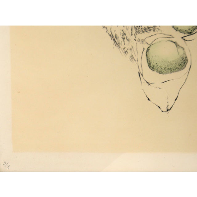Printmaking Materials Stephen Tracy White by "Henry S. Miller" Lithograph in Ink on Paper, #3 of 8 For Sale - Image 7 of 10