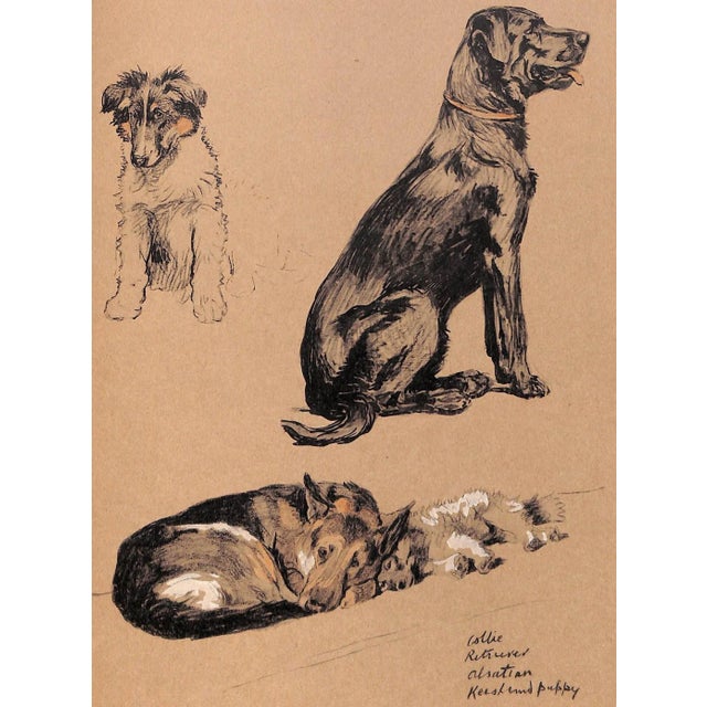 White "Just Among Friends: Pages From My Sketch Books" 1934 Aldin, Cecil For Sale - Image 8 of 11