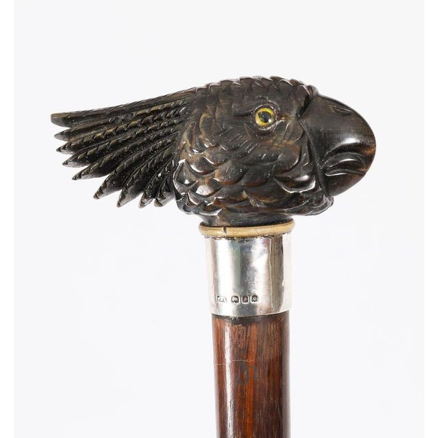 Antique Art Deco Novelty Parrot Walking Stick Cane, 1920s For Sale - Image 12 of 15