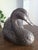 Antique 1920's Patinated Bronze Sculpture of a Seated Duck For Sale - Image 11 of 13