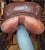 1990s 1990s English Riding Saddle by EquiRoyal For Sale - Image 5 of 8