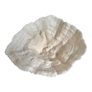 Natural Bowl Coral Specimen For Sale