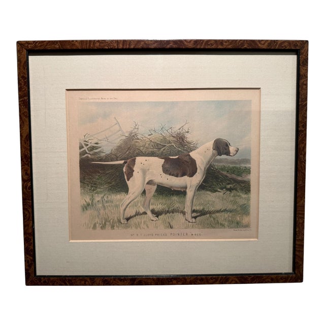 Original 1881 Chromolithograph of Pointer Dog "Wagg" From Cassell's Illustrated Book of the Dog, by Vero Shaw For Sale