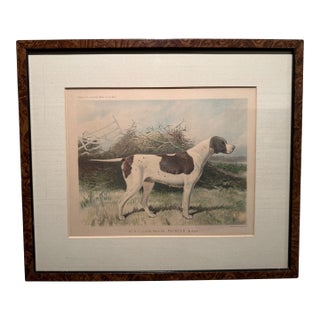 Original 1881 Chromolithograph of Pointer "Wagg" From Cassell's Illustrated Book of the Dog, by Vero Shaw For Sale
