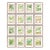 19th-Century European Fern Gallery | Set of 16 Framed Botanical Prints For Sale
