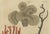 Late 18th Century Bertuch, Four Corals, 1790, Engraving For Sale - Image 5 of 9