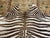5ft 1in × 5ft 8in Zebra Printed Hair on Hide Area Rug For Sale - Image 4 of 12