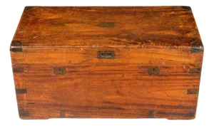 Chinese Export Brass Mounted Camphor Wood Chest, 1870s