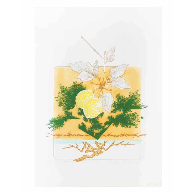 Leo Guida, Still Life, Screen Print, 1976 For Sale