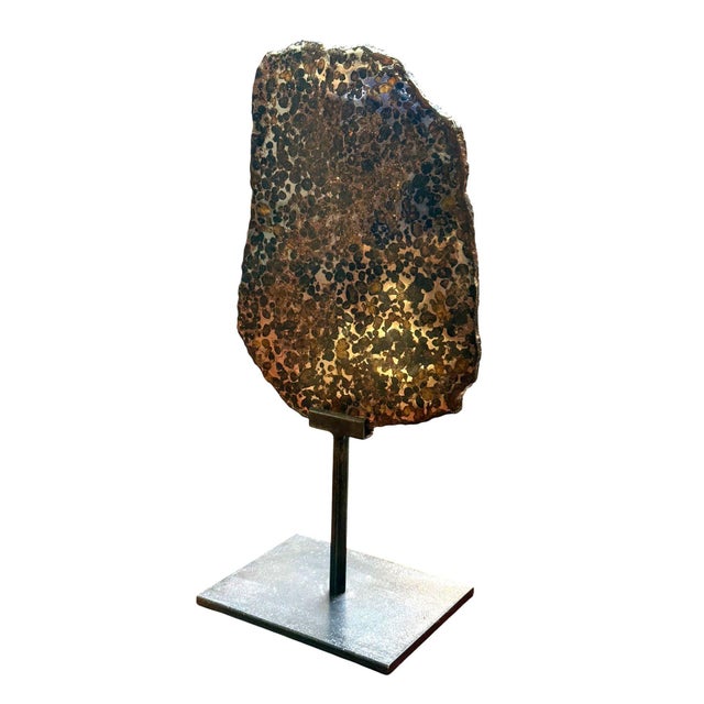 Pallasite Meteorite Slice From the Jericho Strewn Field, Kenya. For Sale In Los Angeles - Image 6 of 7