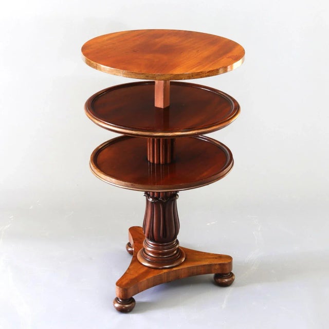 Early 19th Century William IV Metamorphic Mahogany Coffee Table or Three-Tier Dumbwaiter, 1835 For Sale - Image 5 of 10
